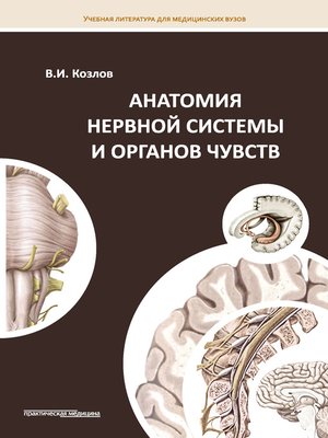 cover image of Анатомия нервной системы и органов чувств